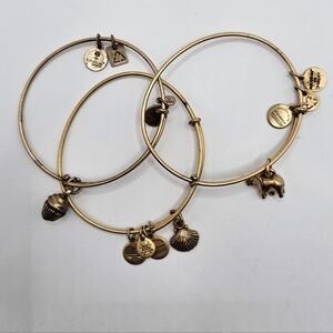 Alex And Ani Charm Bangle Bracelet, Set Of 3
